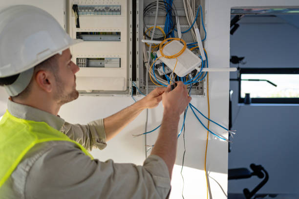 Best Electric Panel Repair  in Boone, IA